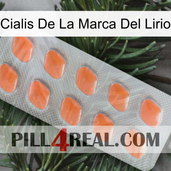 Lily Brand Cialis 26.jpg